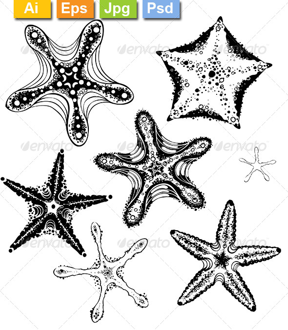 GraphicRiver Silhouette Starfishes 8170649 GraphicRiver Silhouette Starfishes 8170649