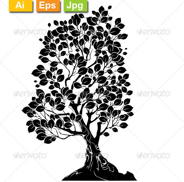 Silhouette of a Deciduous Tree Silhouette of a Deciduous Tree
