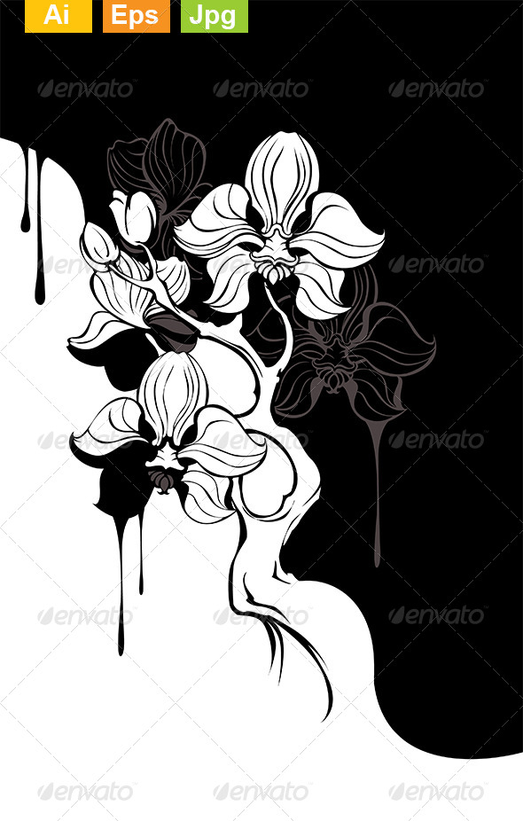 GraphicRiver Monochrome Orchid 8170997 GraphicRiver Monochrome Orchid 8170997