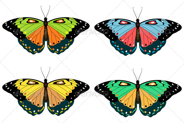GraphicRiver Set of Butterflies 8174609 GraphicRiver Set of Butterflies 8174609