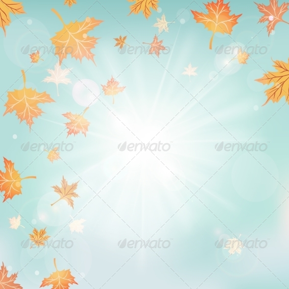 GraphicRiver Autumn Sunny Nature Background 8175095 GraphicRiver Autumn Sunny Nature Background 8175095