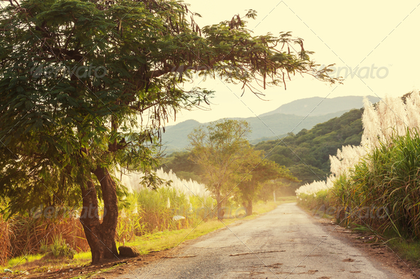 Road (Misc) Photo Download