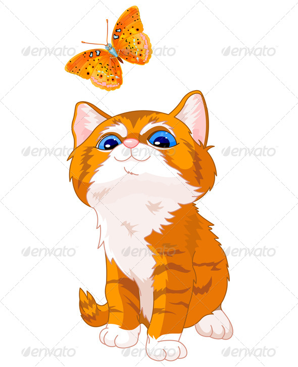 GraphicRiver Kitten Looking at a Butterfly 8177816 GraphicRiver Kitten Looking at a Butterfly 8177816