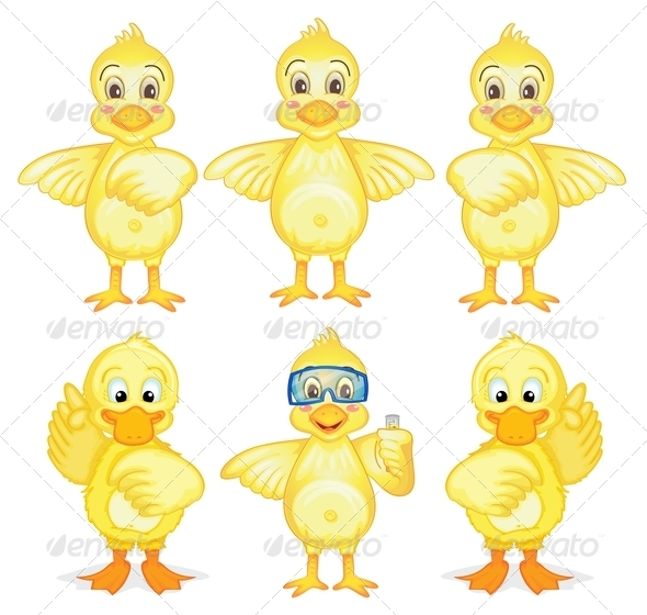 GraphicRiver Six Ducklings 8183379 GraphicRiver Six Ducklings 8183379