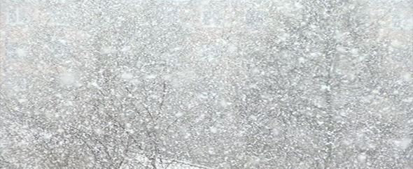 590x242