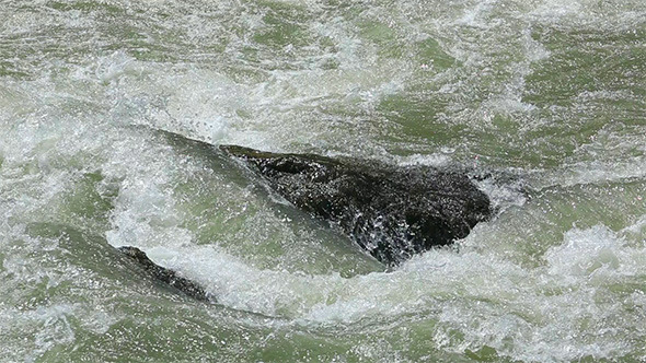 Water Stream Water Stream