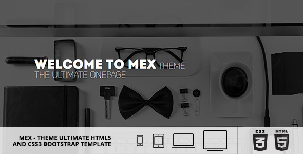 MEX Minimal Multipurpose Theme