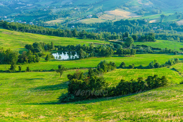 Typical Italian landscape in Tuscany (Misc) Photo Download