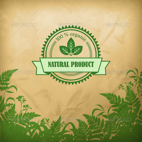 GraphicRiver Natural Organic Herbal Vector Composition 8196550 GraphicRiver Natural Organic Herbal Vector Composition 8196550