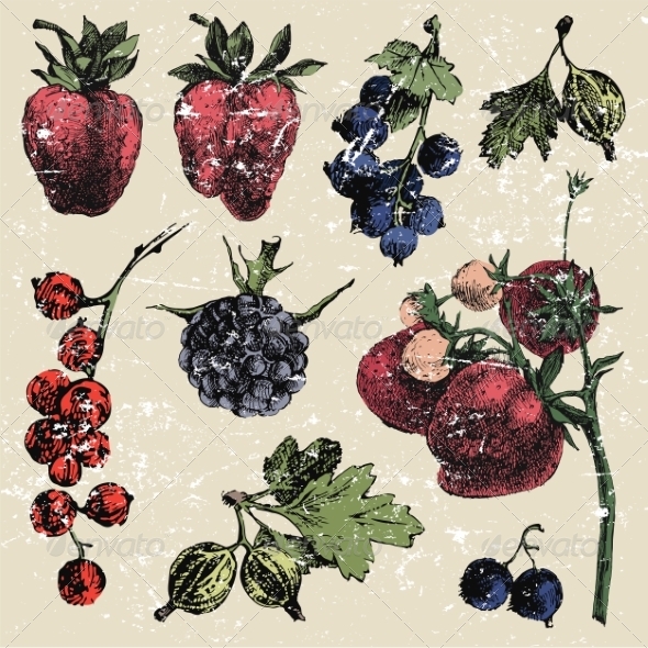 GraphicRiver Hand Drawn Berries 8197107 GraphicRiver Hand Drawn Berries 8197107