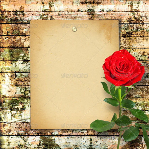 Red rose with green leaves on the wooden abstract background (Misc) Photo Download