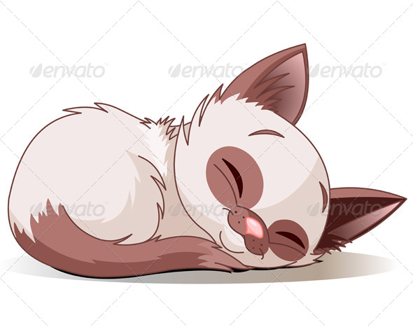 GraphicRiver Sleeping Kitten 8199943 GraphicRiver Sleeping Kitten 8199943