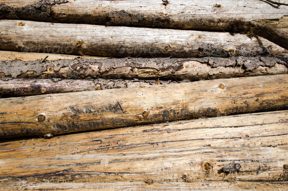 Background of logs for firewood