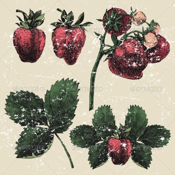 Hand Drawn Strawberry Set Hand Drawn Strawberry Set