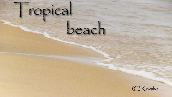 Tropical Beach Tropical Beach