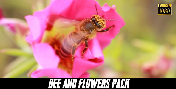 Bee And Flower 4 Pack Bee And Flower 4 Pack