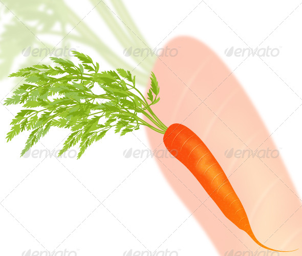 GraphicRiver Carrot 8205316 GraphicRiver Carrot 8205316