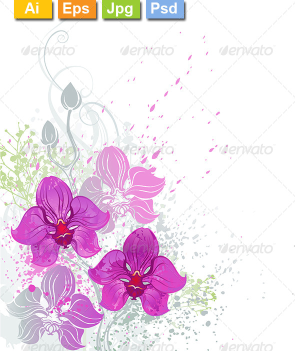 GraphicRiver Pink Orchid 8211531 GraphicRiver Pink Orchid 8211531