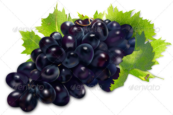 GraphicRiver Grapes Illustration 8189103 GraphicRiver Grapes Illustration 8189103