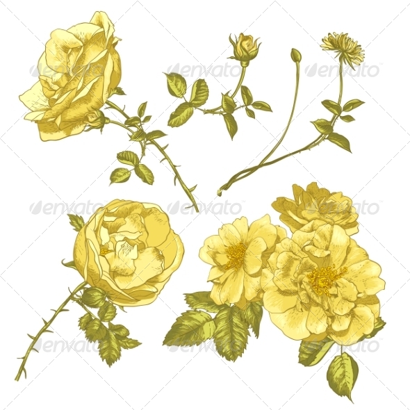 GraphicRiver Set of Floral Design Elements 8229849 GraphicRiver Set of Floral Design Elements 8229849
