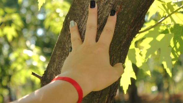 Feeling The Nature 2 Feeling The Nature 2