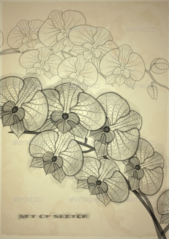 GraphicRiver Set of Hand Drawn Various Elements 8252296 GraphicRiver Set of Hand Drawn Various Elements 8252296