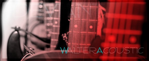WalterAcoustic