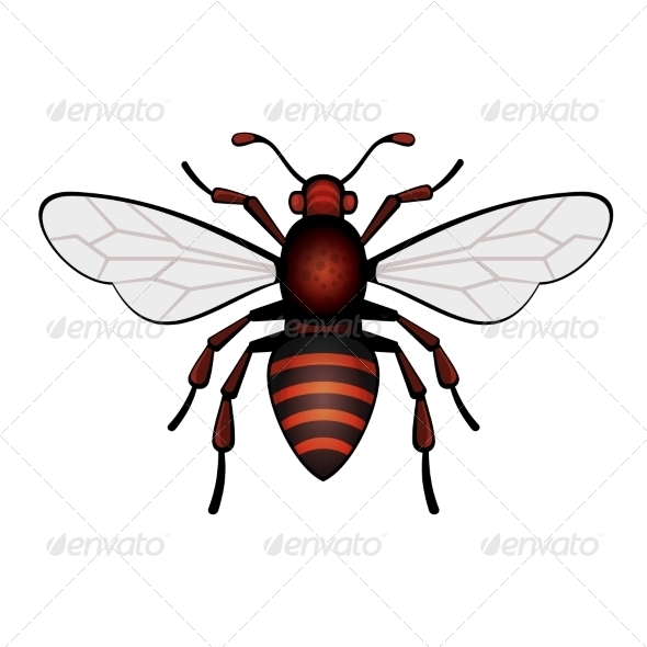 vector 2d bee