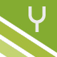 yuridev