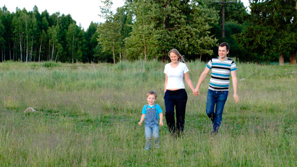 Mother Father And Son Walking On The Meadow Mother Father And Son Walking On The Meadow