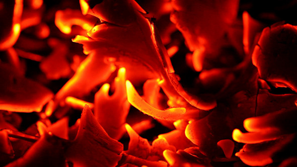 Fire Burning Fire Burning