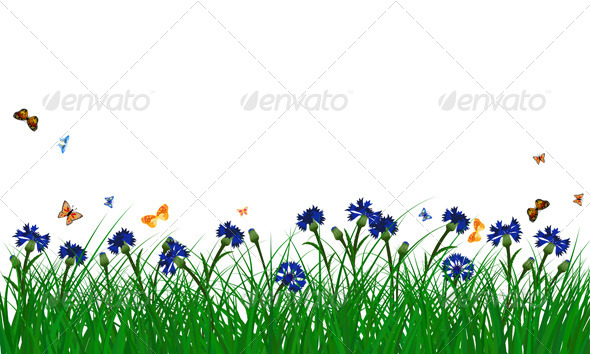 GraphicRiver Cornflowers on Summer Meadow 8296173 GraphicRiver Cornflowers on Summer Meadow 8296173