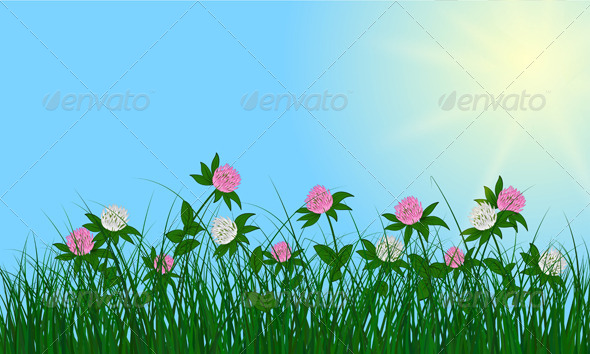 GraphicRiver Clovers on Summer Background 8296190 GraphicRiver Clovers on Summer Background 8296190