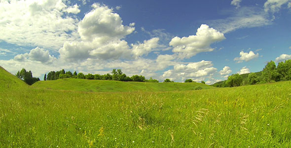Green Meadow 6 Green Meadow 6