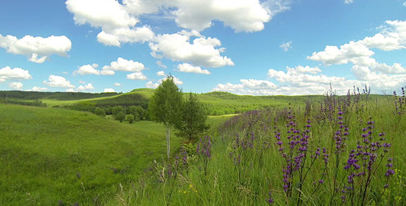 Green Meadow 5 Green Meadow 5