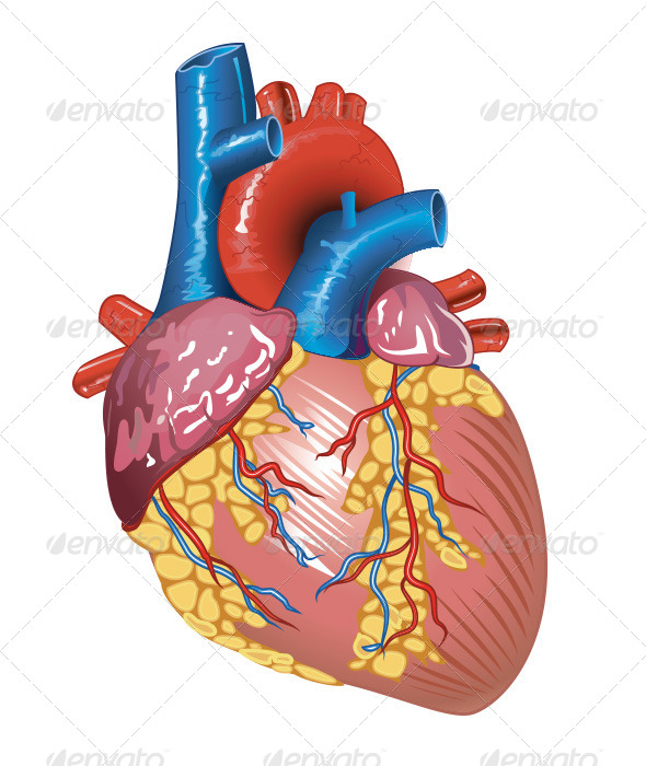GraphicRiver Heart 8303077 GraphicRiver Heart 8303077