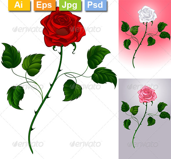 GraphicRiver Roses 8320036 GraphicRiver Roses 8320036