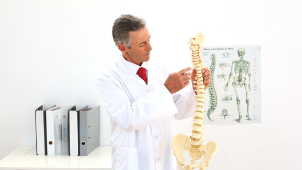 Doctor Pointing To Skeleton Model Doctor Pointing To Skeleton Model