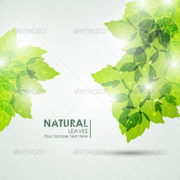 GraphicRiver Natural Leaves Vector 8326886 GraphicRiver Natural Leaves Vector 8326886