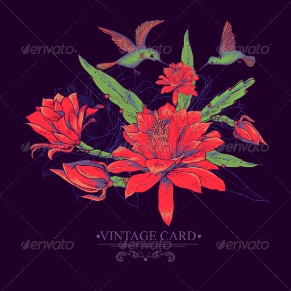 GraphicRiver Vintage Card with Red Flowers and Hummingbirds 8337818 GraphicRiver Vintage Card with Red Flowers and Hummingbirds 8337818