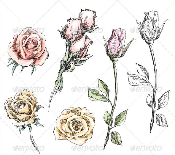GraphicRiver Set of Hand Drawn Roses 8338587 GraphicRiver Set of Hand Drawn Roses 8338587