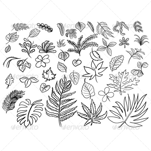 GraphicRiver Vector Drawing of Leaves 8350575 GraphicRiver Vector Drawing of Leaves 8350575