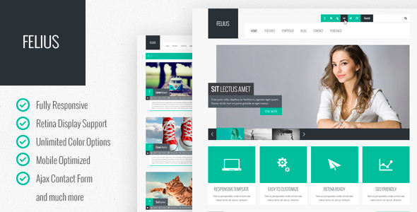 Felius - Responsive Multipurpose Template