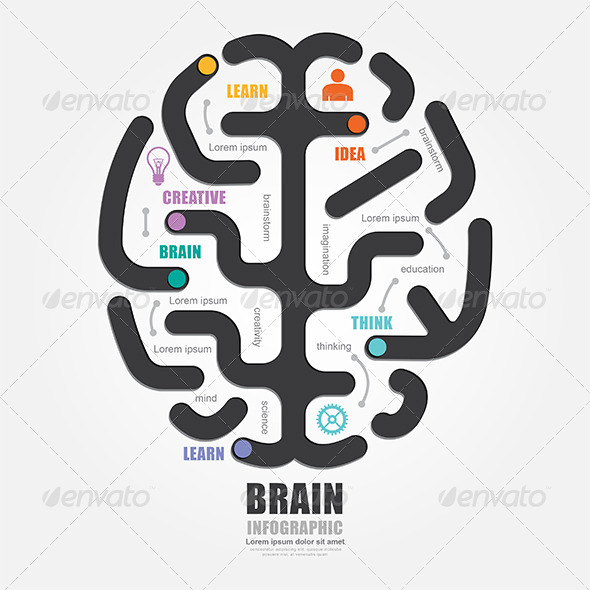 GraphicRiver Infographics Vector Brain Design Diagram Line Styl 7904888 GraphicRiver Infographics Vector Brain Design Diagram Line Styl 7904888