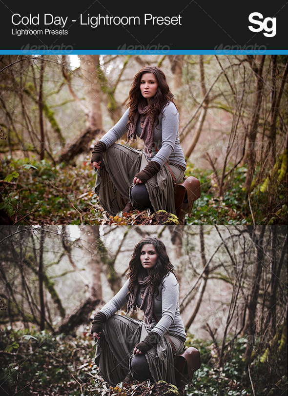 GraphicRiver Cold Day Lightroom Preset 8353491 GraphicRiver Cold Day Lightroom Preset 8353491