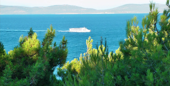 Ship and Pine Cone Trees Ship and Pine Cone Trees