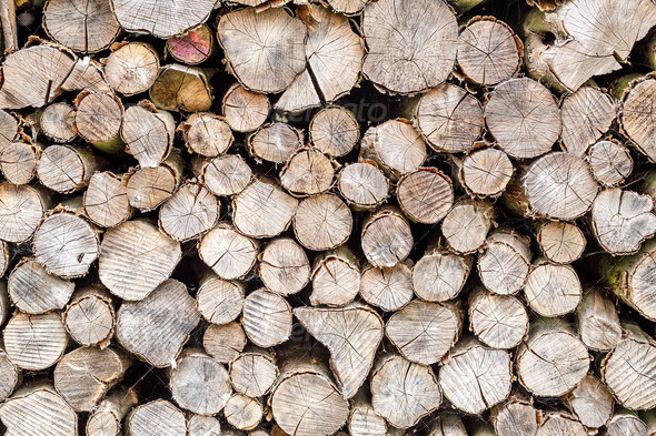 wood in pile outdoor (Misc) Photo Download
