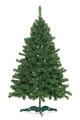 Photo of undecorated tree | Free christmas images