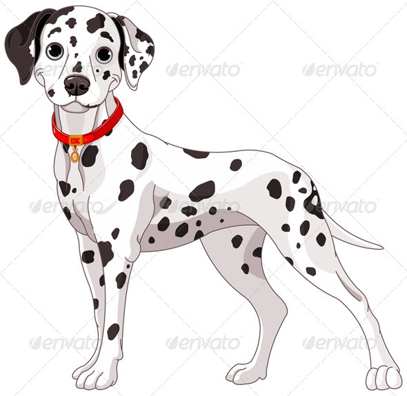GraphicRiver Dalmatian Dog 8376612 GraphicRiver Dalmatian Dog 8376612