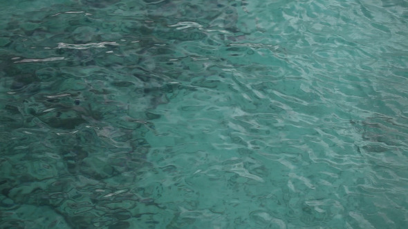 Tropical Sea Beach Turquoise Water Tropical Sea Beach Turquoise Water